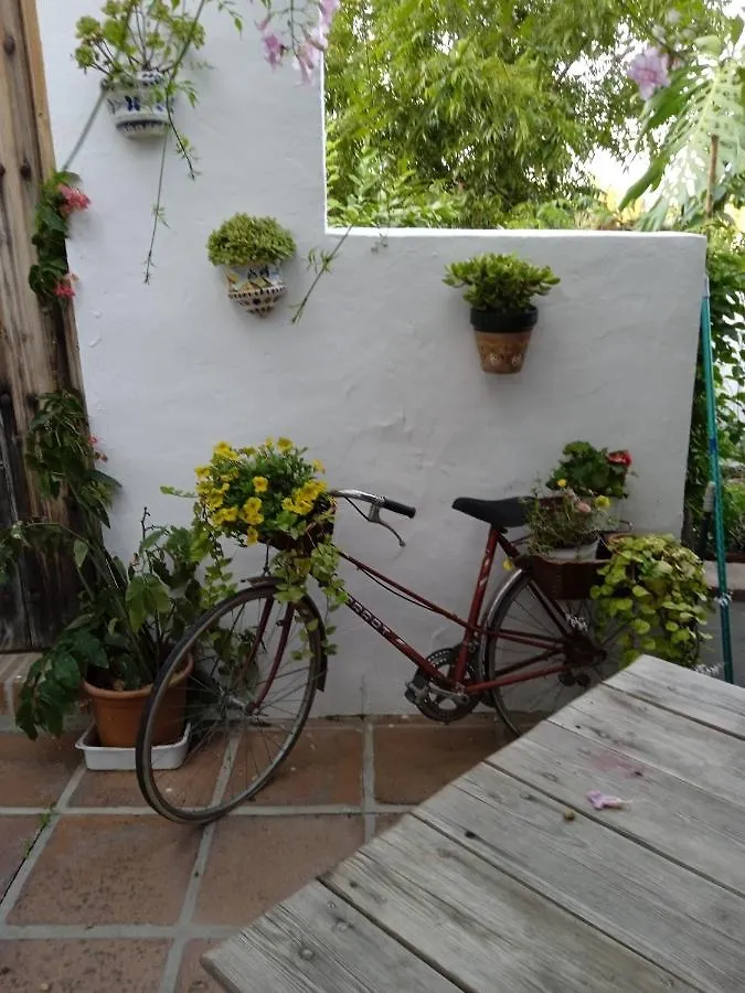 Rancho El Abuelo Hotel Guaro Spain