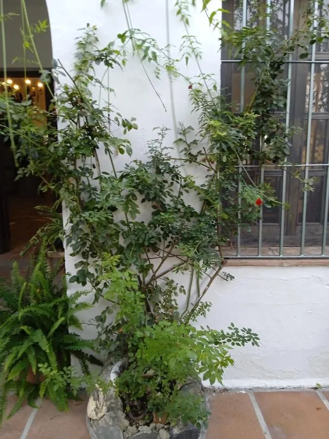 Rancho El Abuelo Hotel Guaro 0*,  Spain